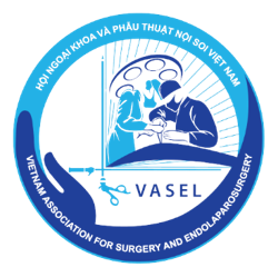Logo VASEL, Hội Ngoại khoa và Phẫu thuật Nội soi Việt Nam